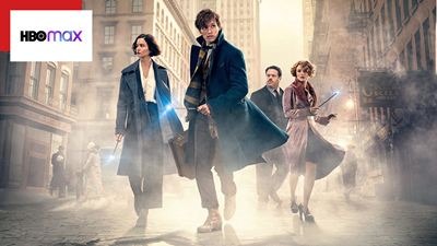 Harry Potter: Esta é sua última chance para ver Animais Fantásticos; saiba o que está saindo do catálogo da HBO Max