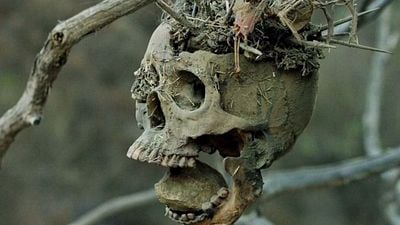 Imagem da notícia O faroeste de terror que impressionou Stephen King e que você pode ver online: “É um filme de faroeste épico”