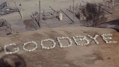 Imagem da notícia 105 milhões de telespectadores colados na tela: O episódio com maior audiência de todos os tempos bateu recorde há 40 anos e ninguém superou ainda