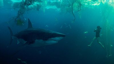 Imagem da notícia "É uma pena, até Megatubarão 2 é mais coerente": Cientistas franceses indignados com o filme de tubarão da Netflix, Sob as Águas do Sena