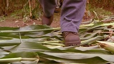 Imagem da notícia Netflix: 23 anos após seu lançamento, ainda não superamos este clássico da ficção científica