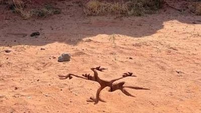 Imagem da notícia Com John Cena, uma das animações mais famosas da televisão está prestes a virar live-action: "Foi absolutamente difamado durante 80 anos"