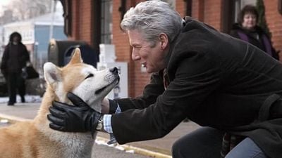 Imagem da notícia Sessão da Tarde hoje (13/05): Baseado em uma história real, Sempre Ao Seu Lado é um dos filmes de cachorro mais emocionantes do cinema