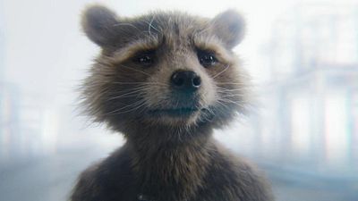 Imagem da notícia "Uma obra-prima pelos direitos dos animais": Guardiões da Galáxia Vol. 3 recebe importante prêmio ao contar história de Rocket