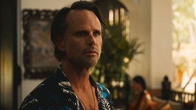 Imagem da notícia “Todo mundo é tratado igual”: Produtor de The White Lotus revela salário do elenco – e é mais baixo do que imaginamos