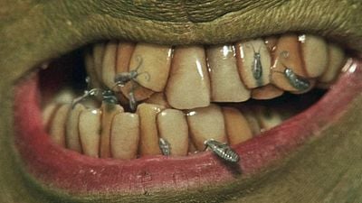 Imagem da notícia Uma sequência após mais de 25 anos: Jim Carrey retorna a um de seus papéis mais lendários
