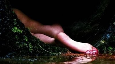 Imagem da notícia Cannes 2013: Ação e comédia dramática marcam as sessões da competição oficial