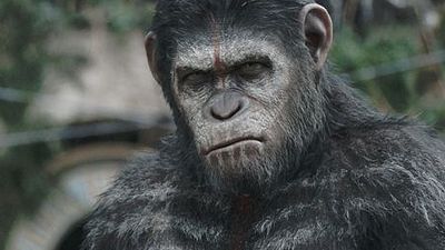 Imagem da notícia Planeta dos Macacos: O Confronto tem três cenas divulgadas; veja
