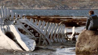 Imagem da notícia Mostra SP 2014: Leviatã retrata frieza russa de forma impressionante