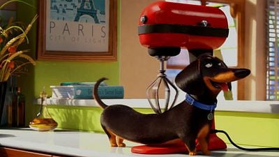Imagem da notícia Pets - A Vida Secreta dos Bichos ganha primeiro trailer fofo