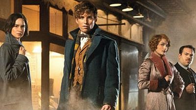 Imagem da notícia Conheça os personagens de Animais Fantásticos e Onde Habitam