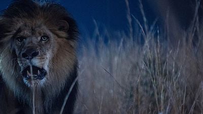 Zoo: Produtor revela planos para cinco temporadas