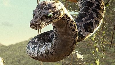 Imagem da notícia Mogli - O Menino Lobo ganha pôster que mostra o Rei Louie e Kaa