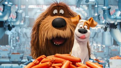 Imagem da notícia Rede de cinema espanhola promove sessão especial de Pets - A Vida Secreta dos Bichos aberta para cachorros