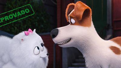 Imagem da notícia Amigos do AdoroCinema: Blogueiros criticam a trama previsível, mas acham graça em Pets - A Vida Secreta dos Bichos