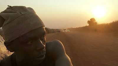 Imagem da notícia Festival de Cannes 2017: Makala é o grande vencedor da Semana da Crítica