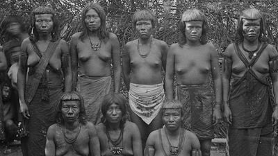 Imagem da notícia CineOP 2017: Obra de cineastas negros pioneiros e filmes sobre a questão indígena são destaques