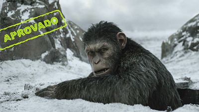 Imagem da notícia Amigos do AdoroCinema: Blogueiros aprovam Planeta dos Macacos - A Guerra por unanimidade