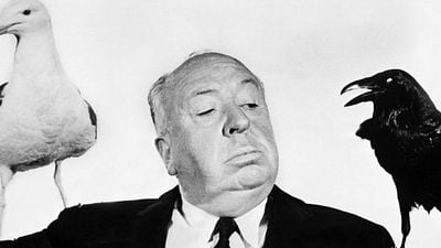 Imagem da notícia BBC vai produzir adaptação de Os Pássaros para a televisão