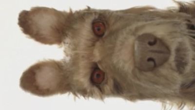 Isle of Dogs: Animação em stop motion dirigida por Wes Anderson ganha teaser