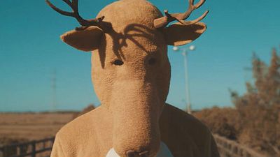 Imagem da notícia Alce & Alice: Conheça a série que traz o diretor Jorge Furtado como ator!