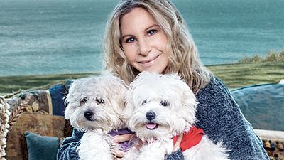 Imagem da notícia Barbra Streisand produziu dois clones de sua falecida cachorra de estimação