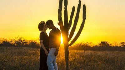 Imagem da notícia 'Onde Nascem os Fortes é uma metáfora do Brasil contemporâneo', afirma o autor George Moura (Entrevista Exclusiva)