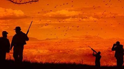 Imagem da notícia Bacurau: Kleber Mendonça Filho finaliza as gravações de seu novo filme