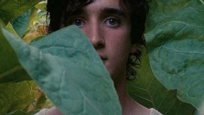 Imagem da notícia Festival de Cannes 2018: Netflix compra dois filmes premiados na mostra