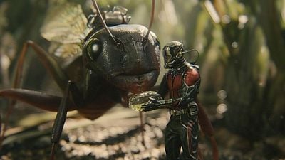 Imagem da notícia Dicas do Dia: Homem-Formiga e 127 Horas são os destaques do dia