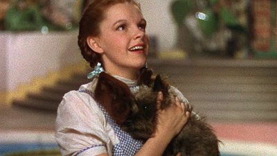 Imagem da notícia Sapatinhos de rubi de O Mágico de Oz são recuperados 13 anos após roubo