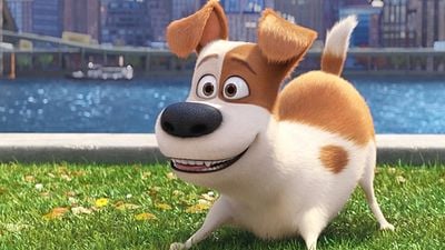 Imagem da notícia Pets - A Vida Secreta dos Bichos 2 acaba de ganhar novo trailer