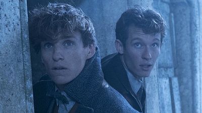 Imagem da notícia Bilheterias Brasil: Animais Fantásticos - Os Crimes de Grindelwald ainda lidera, Parque do Inferno é a melhor estreia