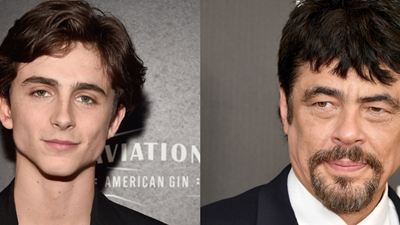 Timothée Chalamet e Benicio Del Toro confirmados no elenco do novo filme de Wes Anderson