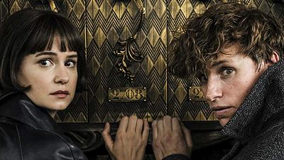 Imagem da notícia Animais Fantásticos: Os Crimes de Grindelwald terá versão estendida