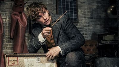 Imagem da notícia Animais Fantásticos 3 tem filmagens adiadas