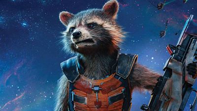 Imagem da notícia Você conhece o guaxinim que serviu de inspiração para o ícone de Guardiões da Galáxia, Rocket Raccoon?