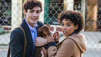 Imagem da notícia Quiz: Você conhece os cachorros do cinema?