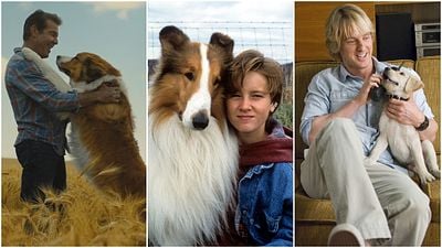 Imagem da notícia 10 cachorros inesquecíveis do cinema
