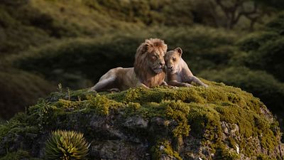 Imagem da notícia O Rei Leão: Iza e Ícaro Silva cantam clássica trilha da animação em novo teaser