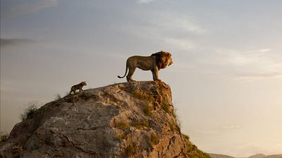 Imagem da notícia O Rei Leão: Quase 1 milhão de pessoas já viram o filme no Brasil