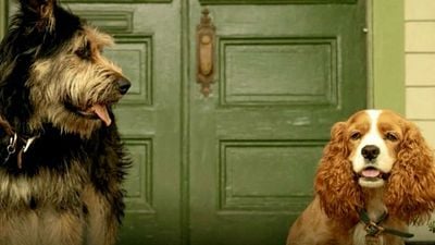 Imagem da notícia A Dama e o Vagabundo: Versão live-action é capa de revista com os fofos cãezinhos