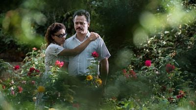 Imagem da notícia Predestinado: Drama com Danton Mello e Juliana Paes ganha primeiro trailer