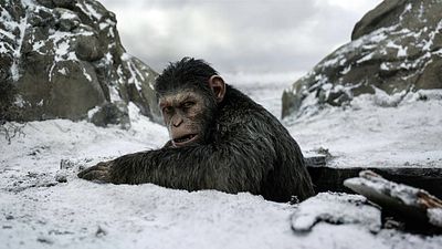 Imagem da notícia Planeta dos Macacos vai ganhar reboot com diretor de Maze Runner