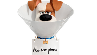 Imagem da notícia 5 momentos da franquia Pets - A Vida Secreta dos Bichos que todo animal de estimação já viveu