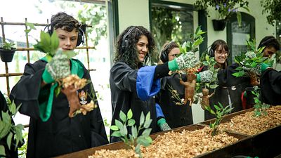 Imagem da notícia Evento simula Escola de Magia em Minas Gerais para fãs de Harry Potter