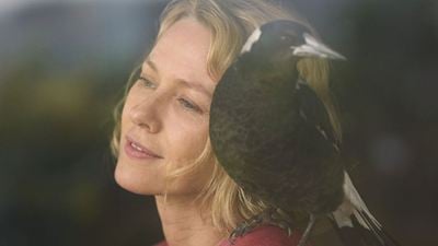 Um Milagre Inesperado: Conheça o filme emocionante com Naomi Watts que estreou exclusivamente no Telecine 