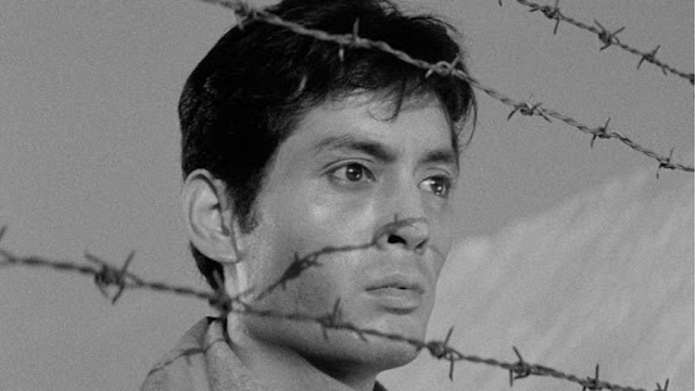 Imagem da notícia Esta trilogia de guerra é uma obra-prima de quase 10 horas de duração e considerada um marco absoluto na história do cinema