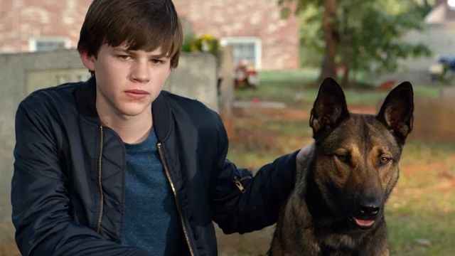Imagem da notícia Sessão da Tarde hoje (27/03): Filme Max, O Cão Herói quase teve uma grande atriz de Hollywood no elenco e tem conexão com a série Gilmore Girls