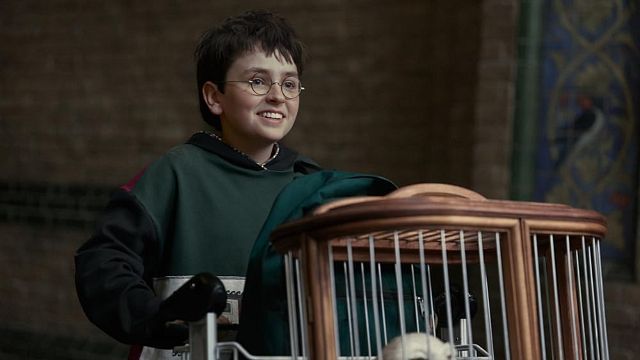 Imagem da notícia Por que deixaram a tia de Harry Potter loira na nova série? Existe uma explicação para isso